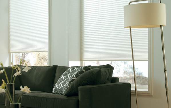 zwei-weisse-Plissees-im-Wohzimmer-hinter-dem-schwarzen-Sofa